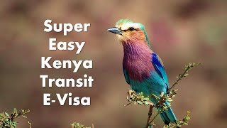 How to complete the Kenya Transit EVisa application 🇰🇪 [upl. by Yruy546]