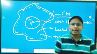 AntiProtozal drugs Introduction Classification Mode of action amp Use L8 Unit4 Medi Chem 6th sem [upl. by Estevan]