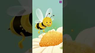 How do Bees Help in Pollination with Electricity Shorts [upl. by Mabelle598]