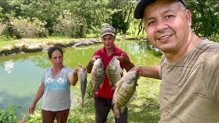 Pescaria no sítio da Suzana filha da dona vicentina dia maravilhoso com eles … [upl. by Yelnoc]