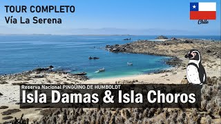 Tour completo ISLA DAMAS ISLA CHOROS desde LA SERENA CHILE  ¡Pingüinos ballenas y mucho más [upl. by Roskes665]