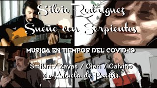 Sueño con serpientes Cover Silvio Rodriguez [upl. by Gladwin]