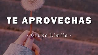 Grupo Limite  Te Aprovechas  Letra [upl. by Nickles]