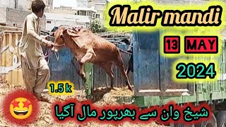 malir mandi ka Kal Kiya ret ho ga🤔\\ mandi news by mazhar \\cow goat 2024 [upl. by Esihcoc]