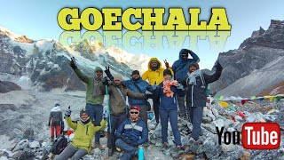 GOECHALA TREK OCTOBER 2024 ll Best trek in Sikkim ll goechala trek all details 👣👣👣🚶🚶🚶❤️❤️❤️ [upl. by Nealson]