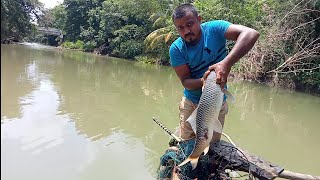 AmazingBest fishing in riverfishing with cast netrelease fish 🐟🐟 [upl. by Berky]