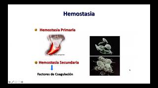 Fisiología Hemostasia Primaria Dr Carlos MartínezMurillo [upl. by Brandes]