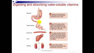 Watersoluble Vitamins DrEman part 1 [upl. by Fadil341]