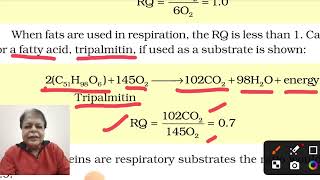 Respiratory QuotientRQ  Repiration In Plants  Easy Explanation [upl. by Inahpets]