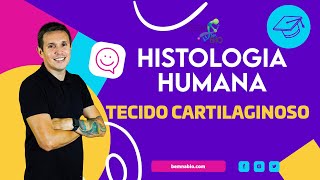 Histologia Humana  Tecido Cartilaginoso [upl. by Yerrok]