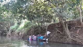 labando en los ríos de honduras [upl. by Nottirb]