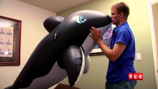 Man In Relationship With Inflatable Animals [upl. by Nirra]