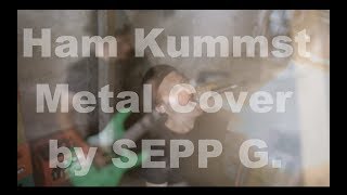 Seiler und Speer  Ham Kummst Metal Cover by SEPP G [upl. by Arrimat366]