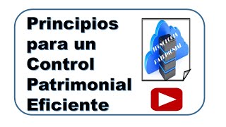 Principios para un eficiente Control Patrimonial de bienes [upl. by Ainolloppa838]