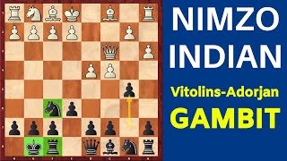 NimzoIndian Classical Variation VitolinsAdorjan Gambit [upl. by Kalman]