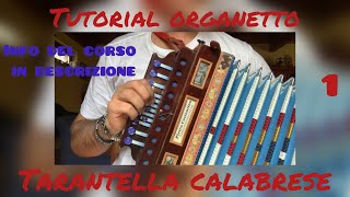 Lezione di organetto calabrese Tutorial organetto [upl. by Itaws]