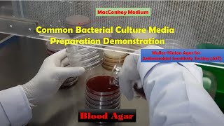 Common Bacterial Culture Media Preparation Demonstration Macconkey Blood and MullerHinton agar [upl. by Gussman]