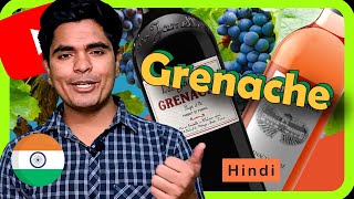 GRENACHEGARNACHA Red Wine Grape Review The Ultimate Guide to This Sensational Grape [upl. by Deste]