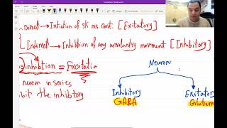 8 Basics of Neuroanatomy for USMLE  Free trial Link in Description Below [upl. by Wesle393]