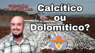 Calcário Calcítico ou Dolomítico Qual eu devo usar [upl. by Ervin]