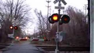 The NJ transit passes over the level crossing [upl. by Ecinerev323]