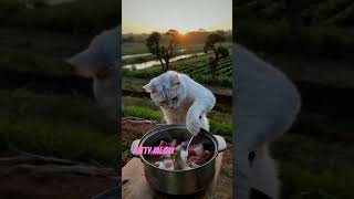 Cook radish soup with meat and eat it shortsaicartoons [upl. by Maffei]