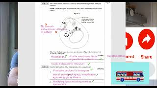 ALevel Biology paper 1 2023 Question 3 walkthrough Eukaryotic cells and natural selection [upl. by Orland]