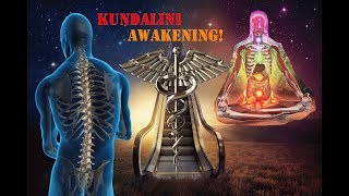 The Relation Between The Spinal Cord With Human Energy and Kundalini Awakening [upl. by Royo]