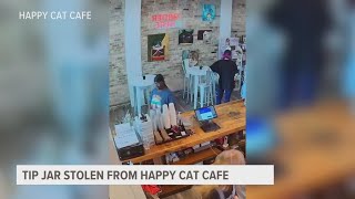 Community helps replace donations stolen from Grand Rapids Happy Cat Cafe [upl. by Airom]