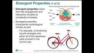 2107 Chapter 1  Evolution Themes of Biology and Scientific Inquiry Part A [upl. by Elocan991]