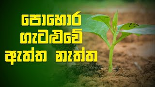 පොහොර ගැටළුවේ ඇත්ත නැත්ත‍‍  මාවත  Mawatha 23092021 Mawatha [upl. by Hogg]