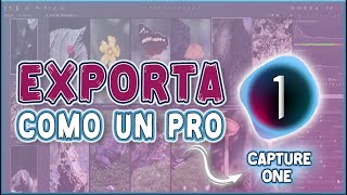 🔴CÓMO EXPORTAR en CAPTURE ONE PROTutorial 2024 [upl. by Lucier880]