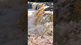 Aysgarth Falls Yorkshire Dales England aysgarthfalls yorkshiredales [upl. by Leahcimnoj]