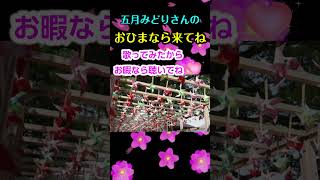 おひまなら来てね五月みどり shorts 切抜 cover 歌ってみたからお暇なら聴いてよねウッフン♪ 歌詞付き [upl. by Hbahsur]