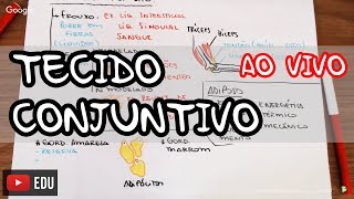 Histologia Tecido Conjuntivo  AO VIVO [upl. by Hsekar469]