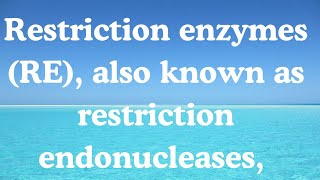 Restriction Enzymes Explained The Molecular Scissors of DNA 🔬✂️ [upl. by Anaderol]