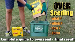 Lawn fall overseeding  All you need to know  Demonstration lawn overseeding [upl. by Nally]