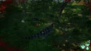 The isle Evrima Ceratosaurus sneak peek update 65 Stress test [upl. by Oly814]