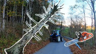 Farmers POV  Clearing Dangerous Hung Trees  New Holland T475 Husqvarna 353 [upl. by Otcefrep]