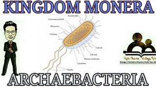 Kingdom moneradetailed account of Archaebacteria for NEET AIIMS JIPMER [upl. by Erbe]