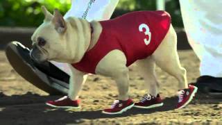 French Bulldog Races Skechers Super Bowl Commercial 2012 [upl. by Accisej646]