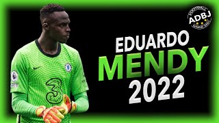 Edouard Mendy 20212022  Crazy Saves  HD [upl. by Hannasus]