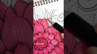 ASMR Sketchbook Coloring for Relaxation  Chill amp Fill Daily [upl. by Amlas]