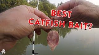 How To Catch Catfish From The Bank  Catfishing Bait Rigs amp Tips [upl. by Mun15]