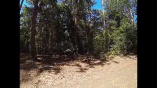 Pademelon Campground Lower Part Chichester State Forest [upl. by Lraep]