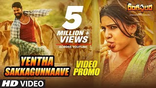 Chuda Sakkagunnave Full Song With Lyrics  Pandaga Chesko Songs  Ram Rakul Preet Singh S Thaman [upl. by Cowden540]