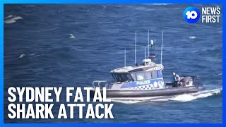 Shark Attack Tragedy  10 News First [upl. by Mame]