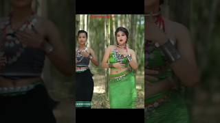 Sebika Reang  New Kaubru Official Music Video 2024 [upl. by Aliahs]