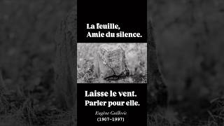 La feuille amie du silence laisse le vent parler pour elleshortvideo gildashorel [upl. by Aikmat]