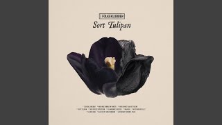 Sort Tulipan [upl. by Erlandson]